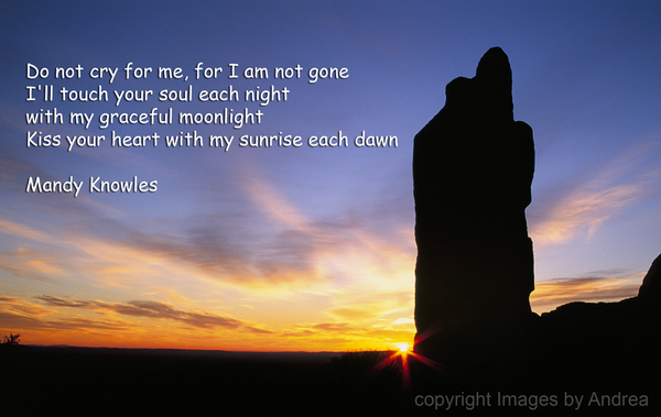 Product picture Afterlife - Desktop Image